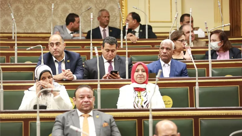 المغازي رئيسا للشئون العربية بمجلس النواب