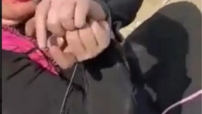 الحبس 15 يوم لشقيق الدكتوره الجامعية وصديقة بعدما خطفوها لتصويرها وابتزازها