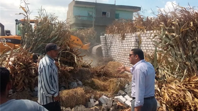 إزالة 748 حالة تعدي بالدقهلية منذ بدء أعمال حملات الموجة 18 لإزالة التعديات