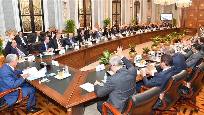 وكيل حقوق الإنسان بالبرلمان: 60% من ذوى الإعاقة يتعرضون للتنمر