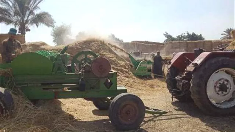 الشرقية تنتهي من حصاد 121 ألف فدان أرز وكبس وتجميع 92 ألفا و675 طن قش