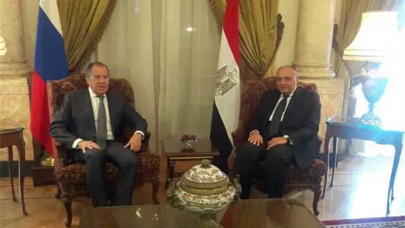 وزير الخارجية يبحث مع نظيره الروسى تعزيز التعاون بين البلدين