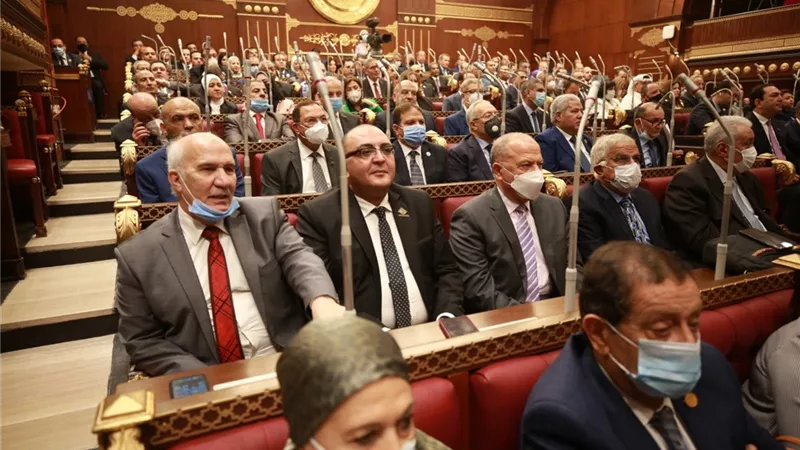 إجراء انتخابات هيئات مكاتب اللجان النوعية بمجلس الشيوخ غدا