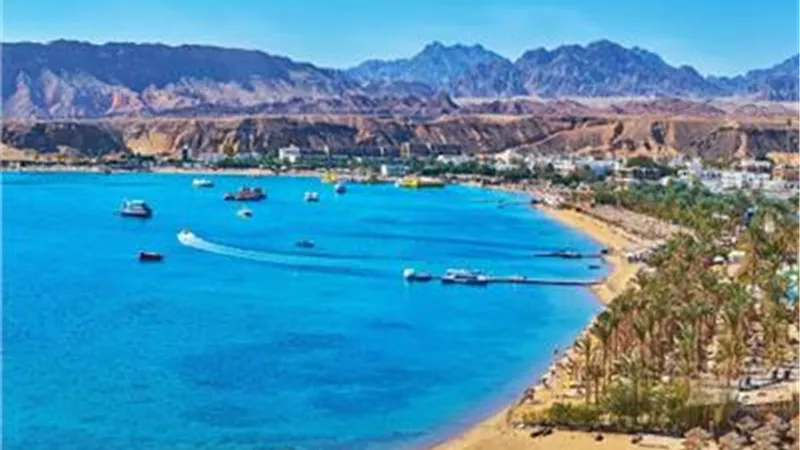 أيوب: السيسي انصف أهل سيناء.. وكل ما يعد به ينفذه على أرض الواقع