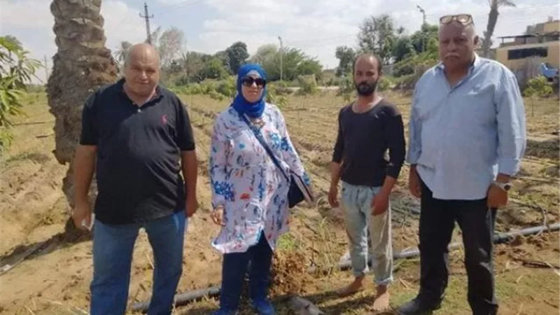 حملات ميدانية تتابع زيادة إنتاجية زراعات الفراولة في الإسماعيلية ..صور
