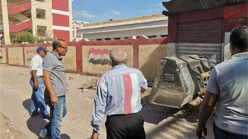 حملات نظافة وصيانة أعمدة إنارة فى محيط مدارس الشرقية.. بالصور