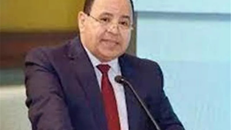 وداعا للتهرب الضريبي ..وزير المالية: 30 يونيو الجاي هقولك انت تمتلك ايه