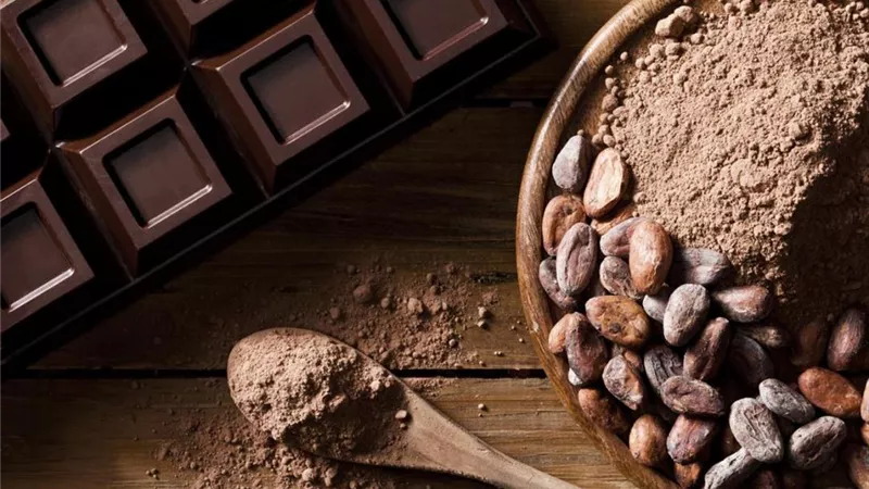 تعرف على أسباب ارتفاع الطلب العالمي على الكاكاو