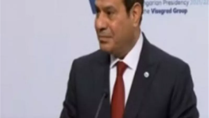 الرئيس السيسي: لا توجد في مصر معسكرات لاجئين