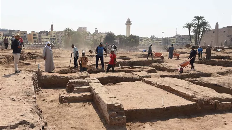 العنانى : تطوير طريق المواكب الكبرى وتزويده بالخدمات لافتتاحه