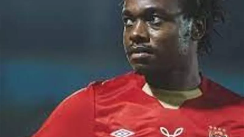 الاهلى يفقد 8 لاعبين قبل مواجهة النيجر