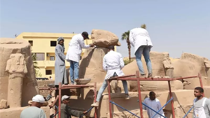 العنانى : تقوية 19 تمثالا من الكباش والإنتهاء من التطوير في غضون أيام