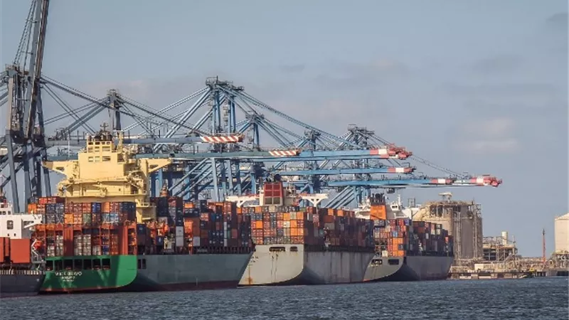 ٧٩ ألف طن بضائع وتصدير ١٨٩٠ حاوية خضار وفاكهة من ميناء دمياط إلى الخليج وأوروبا وشرق آسيا