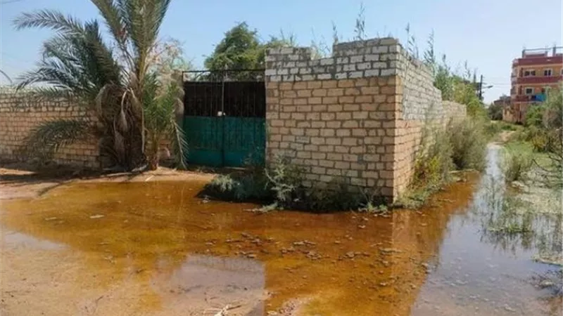 محطة الصرف الصحي تنقذ المجاورة 14 في الإسماعيلية من تجمعات المياه..صور