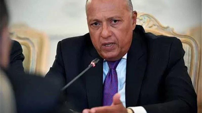 وزير الخارجية يشارك فى الاجتماع التنسيقى للاتحاد الأفريقى