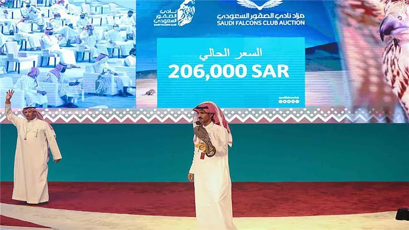 رقم قياسي.. بيع صقر طبرجل بمزاد في السعودية بـ 206 آلاف ريال
