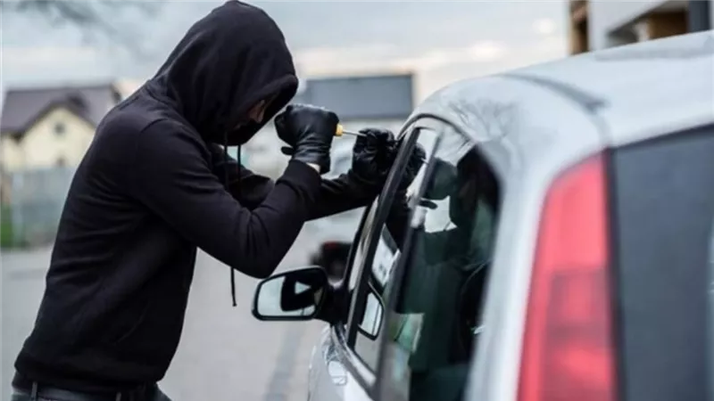 بعد نشر الفيديو على فيس بوك .. ضبط عصابة تقودها سيدة لسرقة السيارات