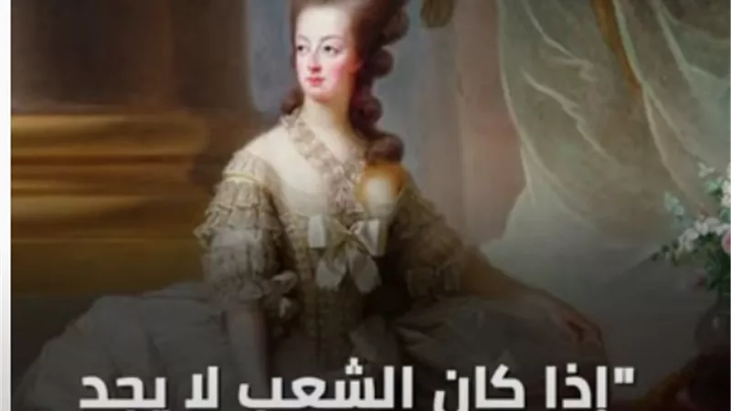 بالفيديو.. 