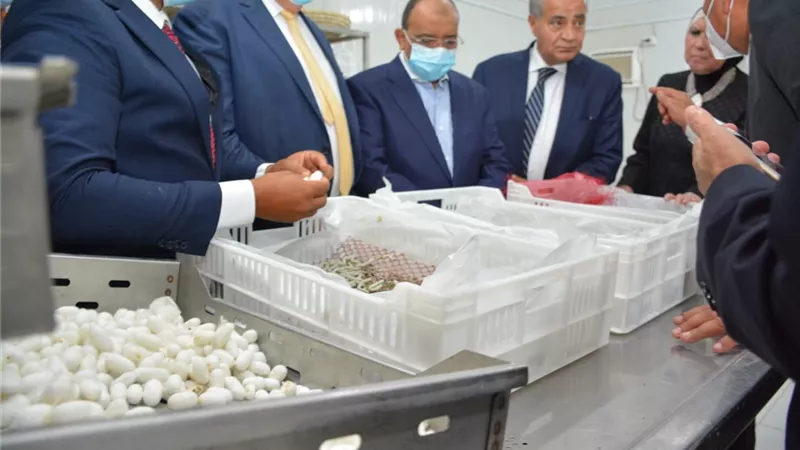 شعراوى: الوادي الجديد نجحت في إحياء إنتاج الحرير الطبيعي بالطاقة الشمسية