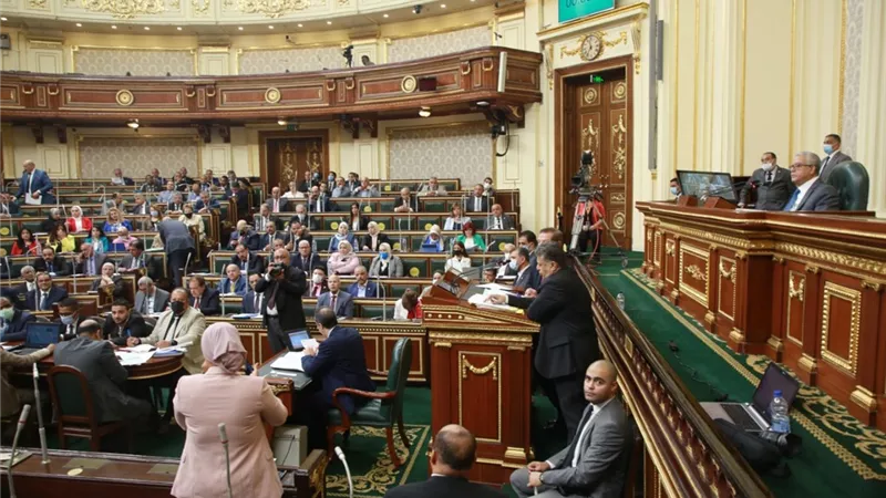 البرلمان يوافق مبدئيا على الإذن لوزير المالية بالحصول على قروض من البنوك بضمان مصر للطيران