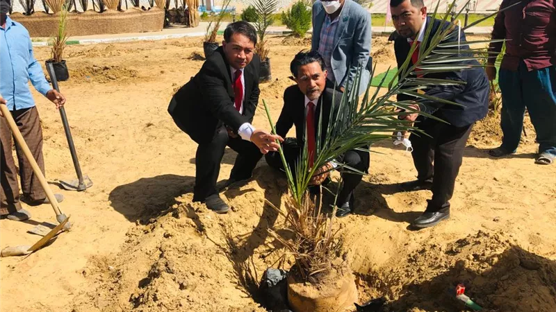 سفير إندونيسيا يزرع شجر نخيل بالوادي الجديد