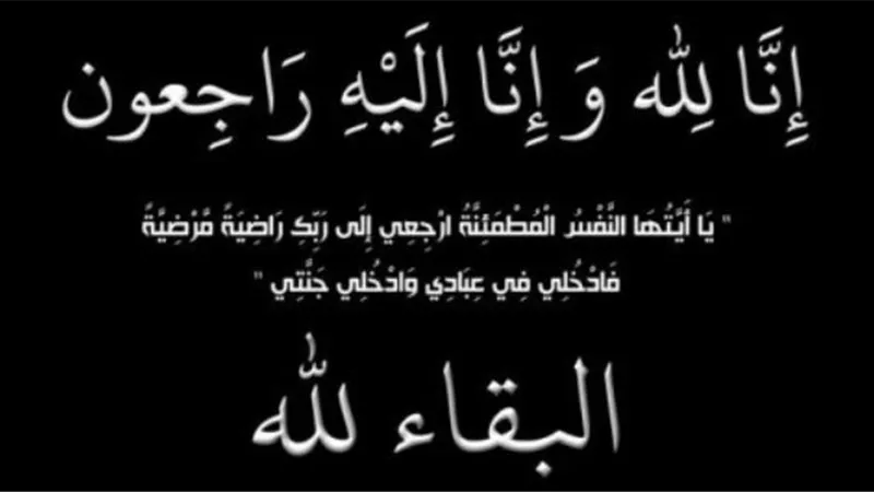 الكيميائي هشام فتحي ينعي والدة المهندس هيثم فيزان
