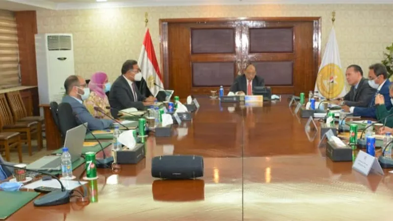 شعراوي : توفير 269 ألف فرصة عمل من خلال برنامج التنمية المحلية بصعيد مصر