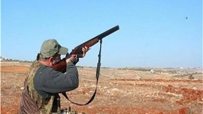ما هو حكم الأكل من الصيد بالبندقية؟.. دار الإفتاء تجيب