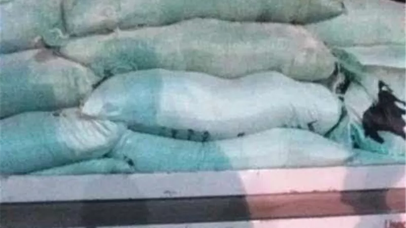 ضبط 840 لتر زيت مجهولة المصدر بالشرقية