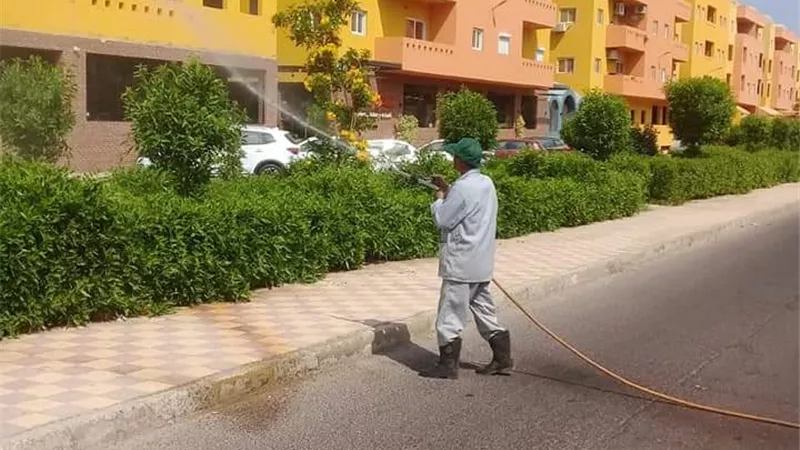 زراعة البحرالأحمر مستمرون فى حملات الرش ومقاومة الحشرات والبعوض ..صور