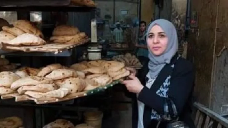 التموين : ضبط 14 جوال دقيق قبل التصرف و296 بطاقة لدي مخابز بالجيزة