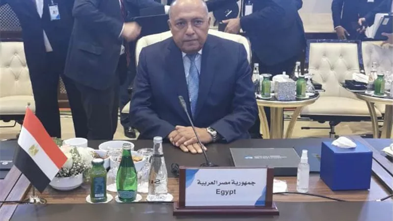 كلمة وزير الخارجية في مؤتمر دعم استقرار ليبيا