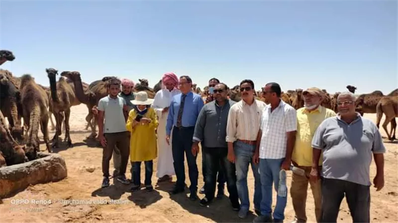 جهاز الساحل الشمالي الغربي يستعد لتخزين 300 الف متر مكعب امطار هذا الموسم