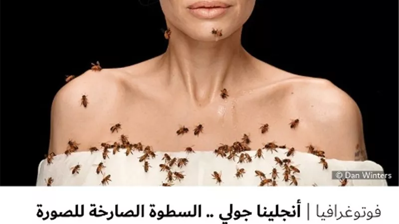 أنجلينا جولي .. السطوة الصارخة للصورة