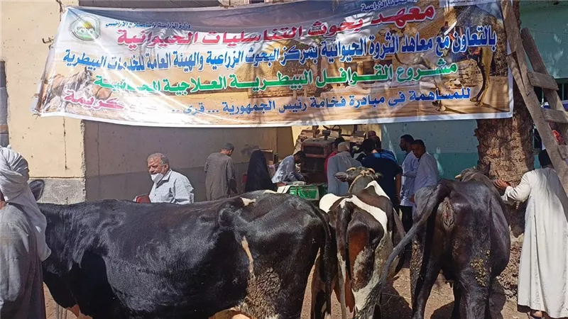 الزراعة: فحص وعلاج أكثر من 5400 حيوان مجاناً بالمنيا