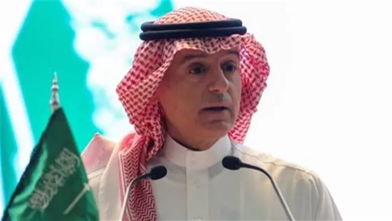 السعودية وهولندا تبحثان جهود حماية حقوق الإنسان