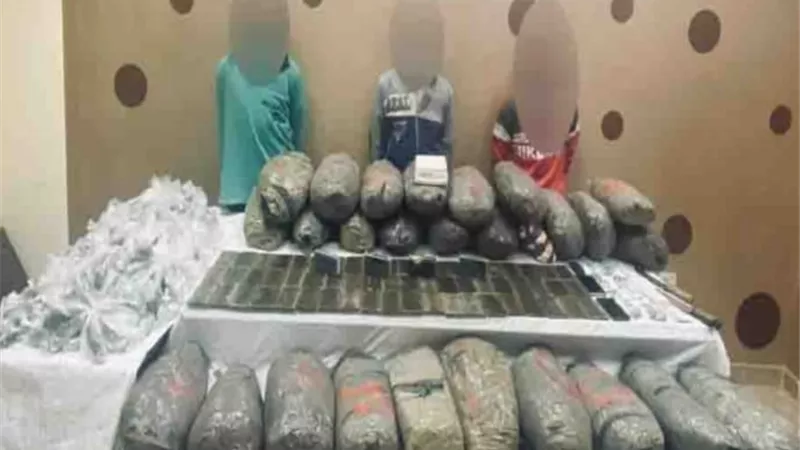 ضبط 90 كيلو بانجو و 64 طربة حشيش بحوزة 3 عناصر إجرامية بالغربية