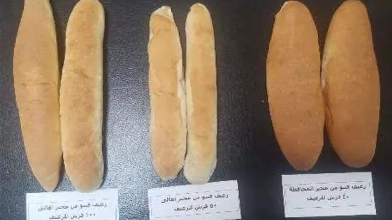 محافظ الشرقية يُعلن عن طرح رغيف خبر فينو بـ 40 قرشا أمام المواطنين