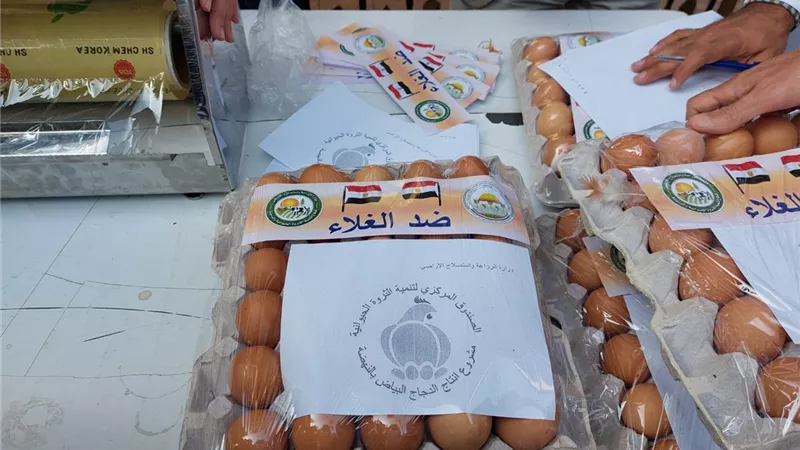 بالفيديو والصور.. 