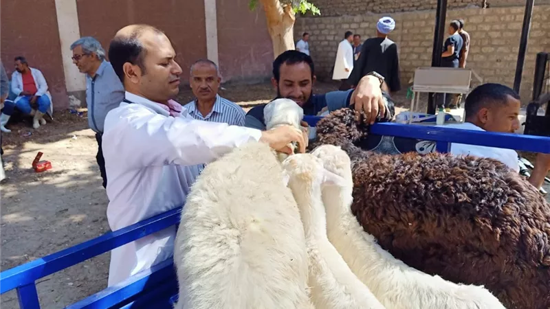 محافظ أسيوط: القوافل البيطرية المجانية تستهدف قرية دير الجنادلة بمركز الغنايم ضمن فعاليات المبادرة الرئاسية 