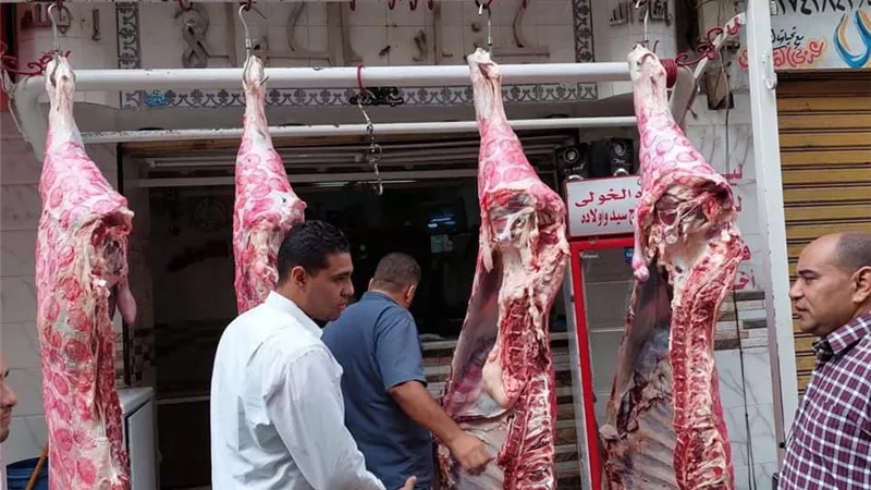 ضبط دقيق ناقص وزن وسلع غير مرخصة ولحوم منتهية الصلاحية بالجيزة