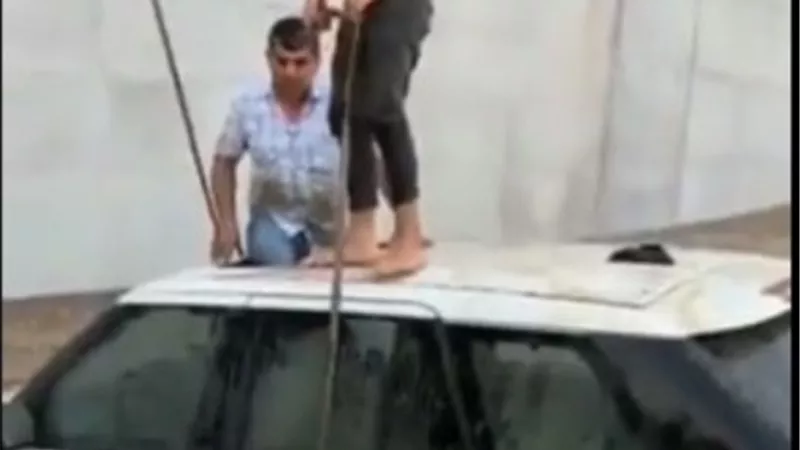 أربيل 