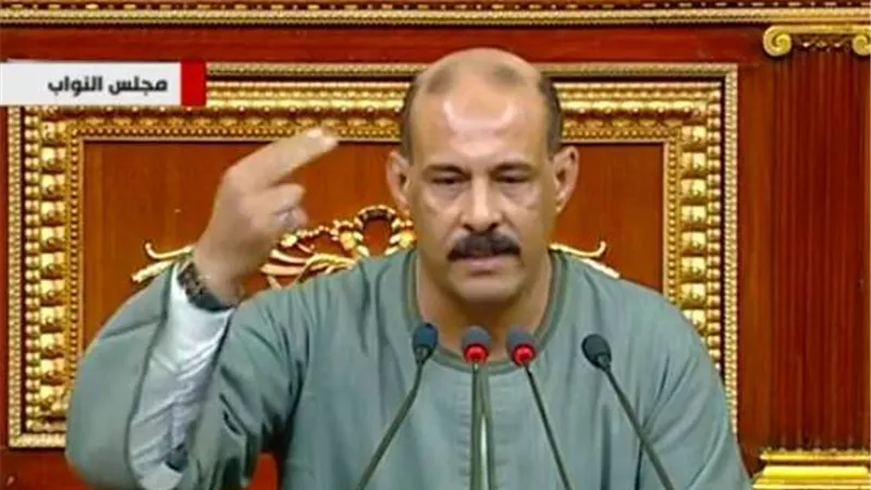 برلماني يطالب بإسناد منجم السكري للبحث عن الذهب لوزارة الدفاع