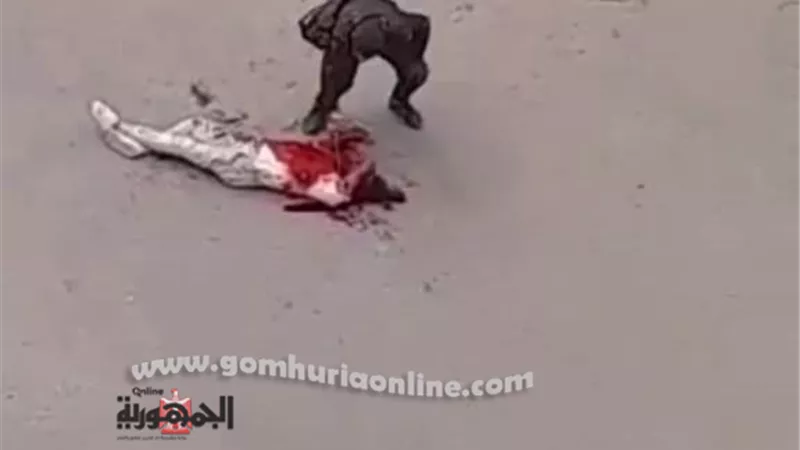 ضبط شخص قتل آخر وتجول برأسه بعد فصلها عن جسده في شوارع الإسماعيلية