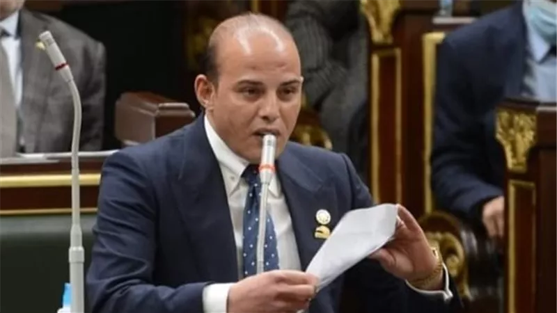 القطامى: تشريعات التنقيب عن الذهب رسالة إيجابية عن بيئة الاستثمار في مصر