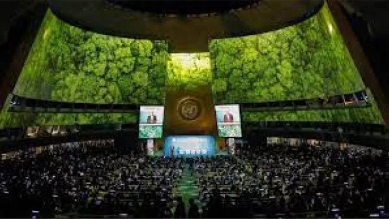 قادة العالم يعلنون اليوم التزامهم وقف إزالة الغابات بحلول 2030