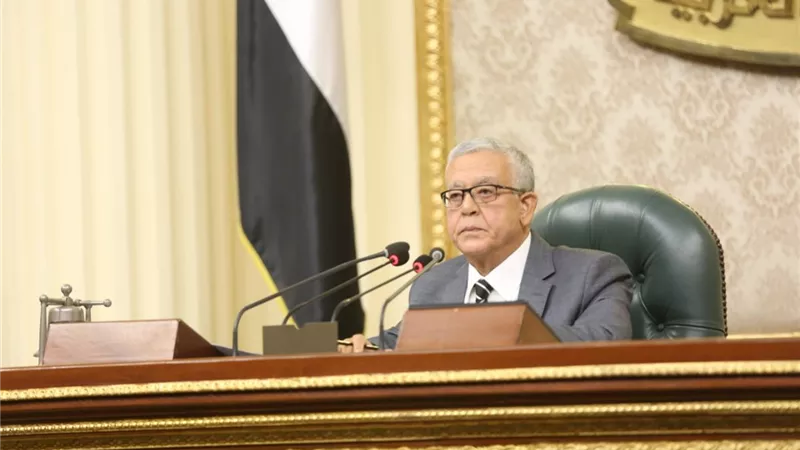 جبالى يحيل قرار الموافقة على اتفاقيتين دوليتين للجان المختصة