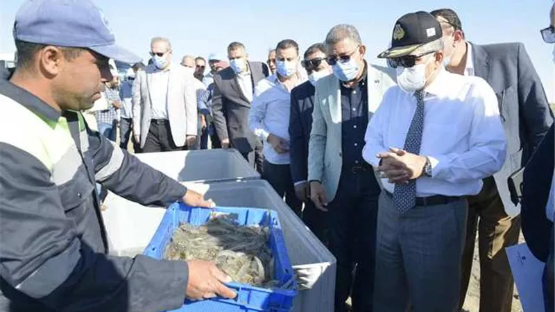 الفريق ربيع يتفقد شركة قناة السويس للإستزراع السمكي ..صور