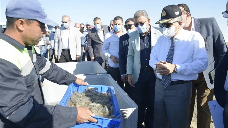 الفريق أسامة ربيع: بدء استزراع أسماك الدنيس والقاروص والبلطي للموسم الجديد