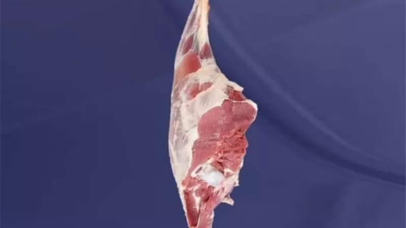 حملة 